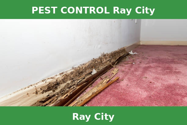 PEST CONTROL Ray City